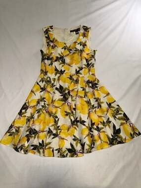 Roberto Cavalli Lemon Print Sleeveless Jacquard Fit and Flare Dress